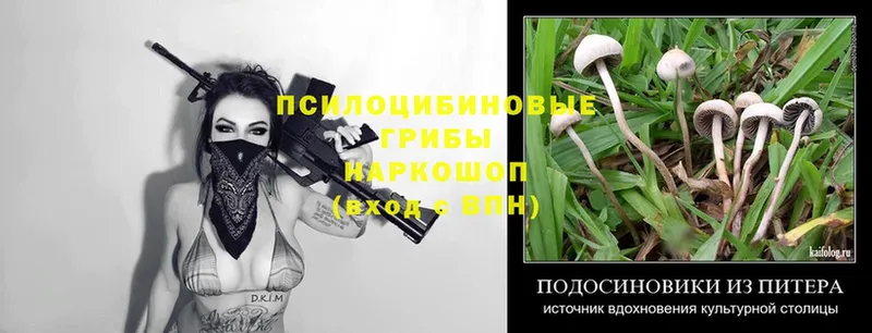 хочу   Краснослободск  Псилоцибиновые грибы Magic Shrooms 